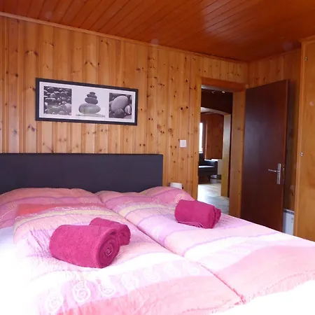 Apartment Chant Du Torrent: 12 Pers. Ideal Pour Les Familles *