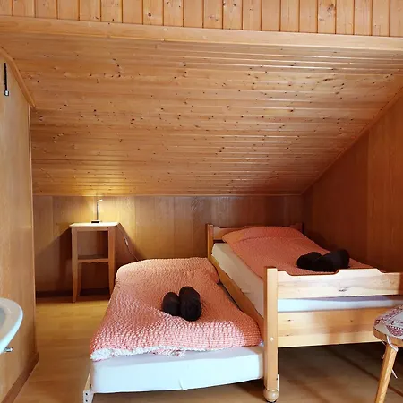 Chant Du Torrent: 12 Pers. Ideal Pour Les Familles Apartment Nendaz